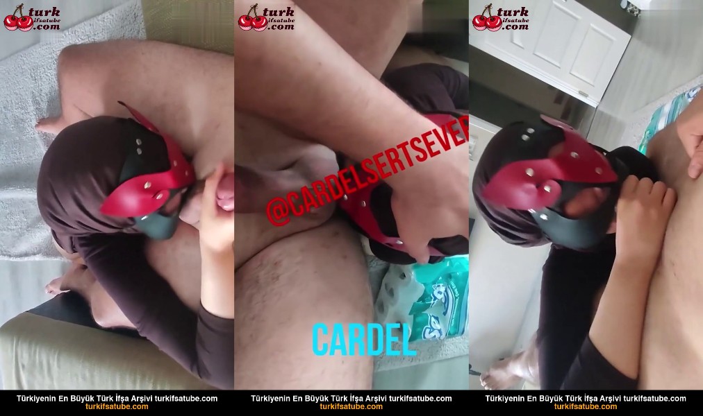 Cardel 6